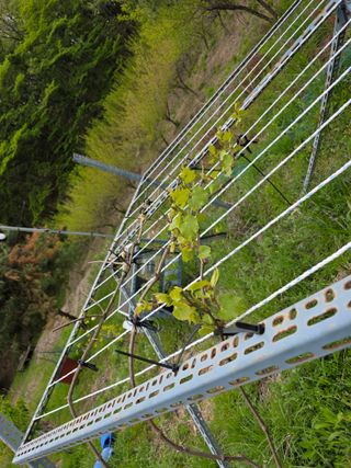 이원복님의 자유주제 · 사진전 작성글 사진
