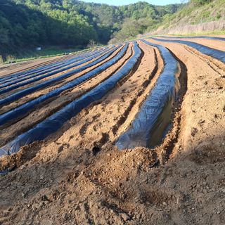 오영도님의 자유주제 · 자유게시판 작성글 사진