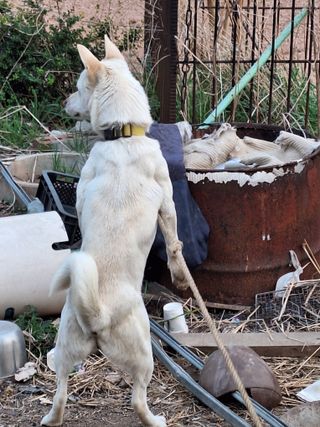 길가다우연히님의 자유주제 · 자유게시판 작성글 사진