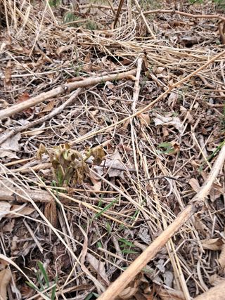 연복순님의 자유주제 · 사진전 작성글 사진