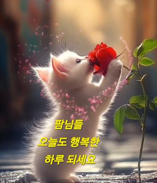 인생은 소풍처럼님의 자유주제 · 자유게시판 작성글 사진