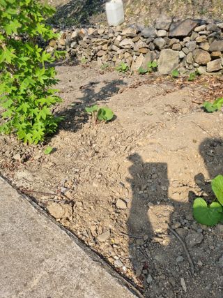 김용대님의 자유주제 · 자유게시판 작성글 사진