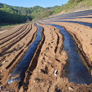 오영도님의 자유주제 · 자유게시판 작성글 사진