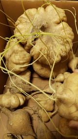 팜모닝 농사, 무엇이든 물어보세요!·참여글 게시글 이미지