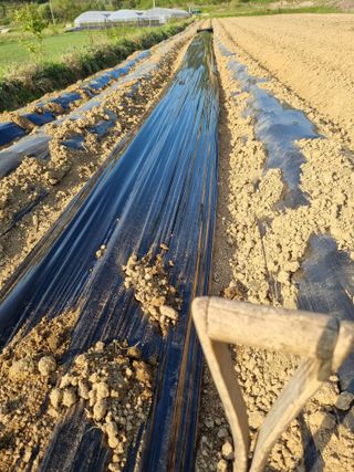 논산푸른팜님의 기타작물 · 자유게시판 작성글 사진