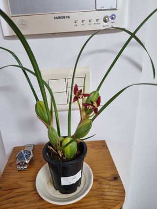 이찬암님의 자유주제 · 자유게시판 작성글 사진