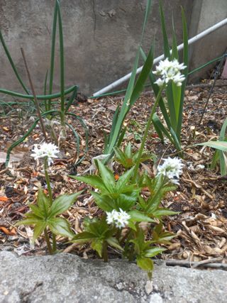 성순옥님의 자유주제 · 자유게시판 작성글 사진