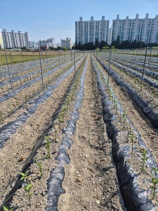 우리농원님의 자유주제 · 자유게시판 작성글 사진