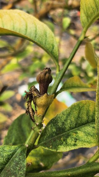 정미리님의 자유주제 · 자유게시판 작성글 사진