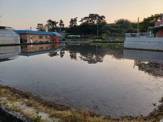 전영일님의 자유주제 · 자유게시판 작성글 사진