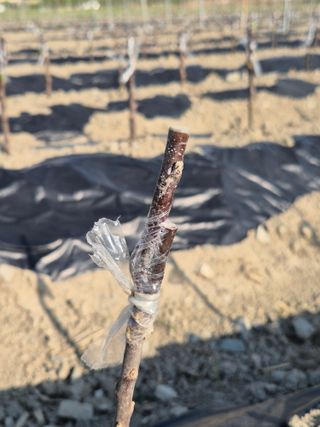 우리농원님의 자유주제 · 자유게시판 작성글 사진