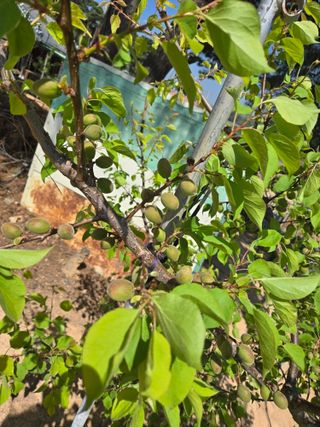 자연인님의 자유주제 · 자유게시판 작성글 사진