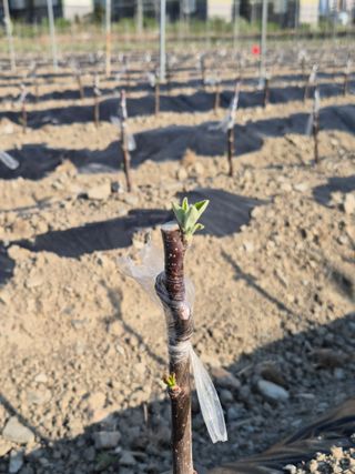우리농원님의 자유주제 · 자유게시판 작성글 사진