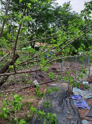 전진욱님의 자유주제 · 자유게시판 작성글 사진