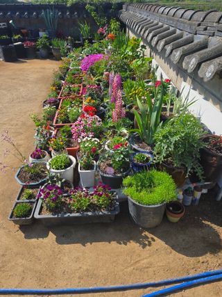 자연인님의 자유주제 · 자유게시판 작성글 사진