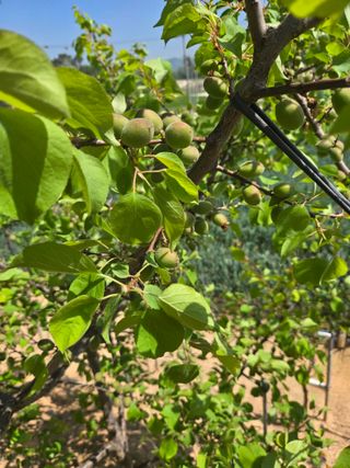 자연인님의 자유주제 · 자유게시판 작성글 사진