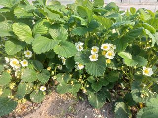 성순옥님의 자유주제 · 자유게시판 작성글 사진