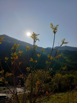 인생은 소풍처럼님의 자유주제 · 자유게시판 작성글 사진