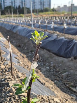 우리농원님의 자유주제 · 자유게시판 작성글 사진