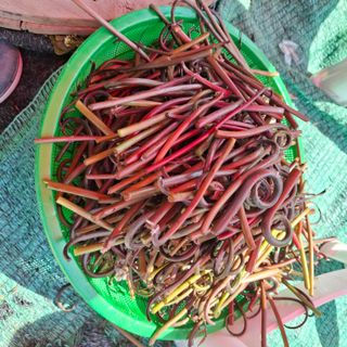 오영도님의 자유주제 · 자유게시판 작성글 사진