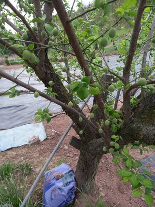 전진욱님의 자유주제 · 자유게시판 작성글 사진