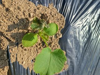 류남열님의 자유주제 · 자유게시판 작성글 사진