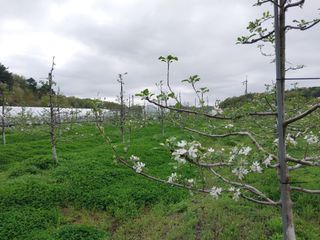 시골살이님의 자유주제 · 자유게시판 작성글 사진