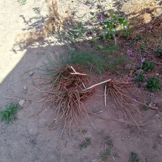 오영도님의 자유주제 · 자유게시판 작성글 사진