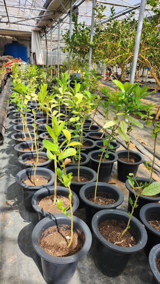 정미리님의 자유주제 · 자유게시판 작성글 사진