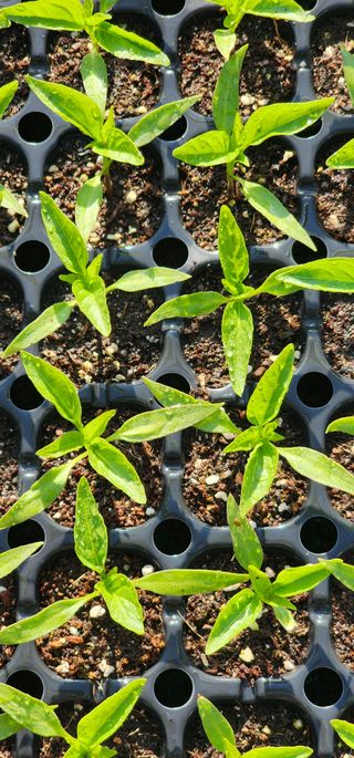 김선례님의 자유주제 · 자유게시판 작성글 사진