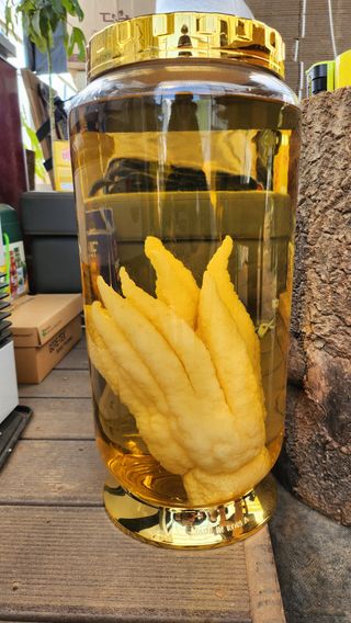 정미리님의 자유주제 · 자유게시판 작성글 사진