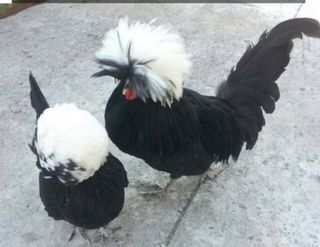 아리엘님의 자유주제 · 자유게시판 작성글 사진