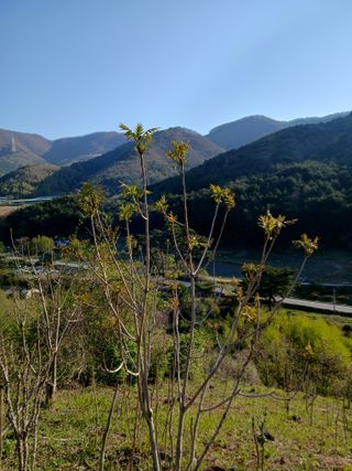 인생은 소풍처럼님의 자유주제 · 자유게시판 작성글 사진