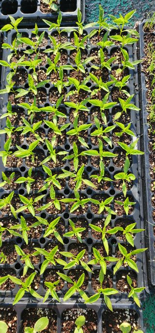 김선례님의 자유주제 · 자유게시판 작성글 사진