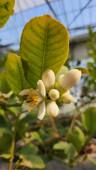 정미리님의 자유주제 · 자유게시판 작성글 사진