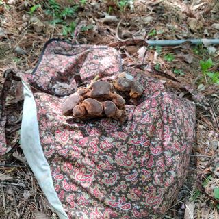 오영도님의 자유주제 · 자유게시판 작성글 사진