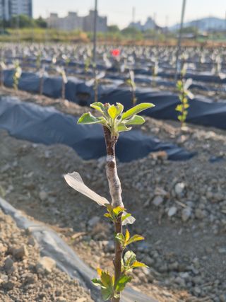 우리농원님의 자유주제 · 자유게시판 작성글 사진