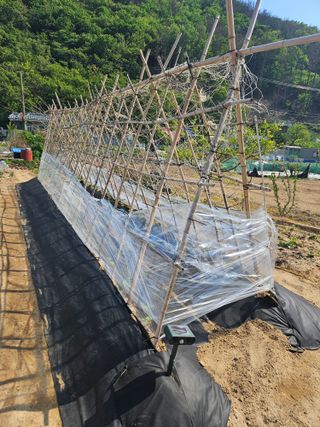 osm님의 자유주제 · 자유게시판 작성글 사진