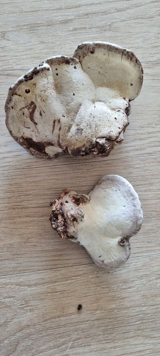 박순덕님의 자유주제 · 자유게시판 작성글 사진