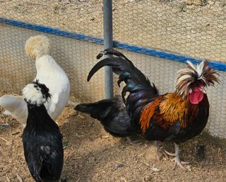 아리엘님의 자유주제 · 자유게시판 작성글 사진