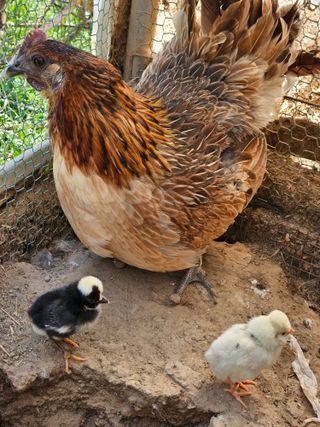 아리엘님의 자유주제 · 자유게시판 작성글 사진