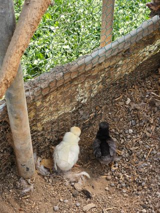 아리엘님의 자유주제 · 자유게시판 작성글 사진