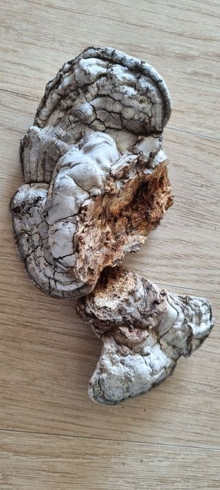 박순덕님의 자유주제 · 자유게시판 작성글 사진