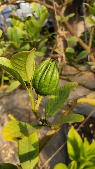 정미리님의 자유주제 · 자유게시판 작성글 사진