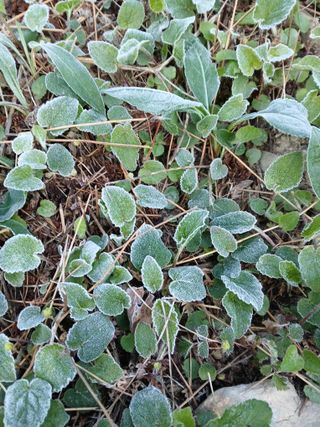 인생은 소풍처럼님의 자유주제 · 자유게시판 작성글 사진