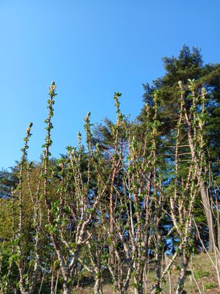 인생은 소풍처럼님의 자유주제 · 자유게시판 작성글 사진