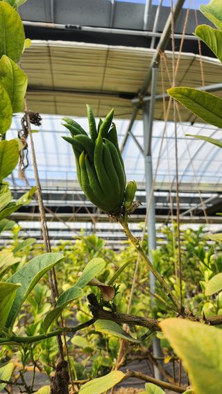 정미리님의 자유주제 · 자유게시판 작성글 사진