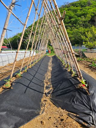 osm님의 자유주제 · 자유게시판 작성글 사진