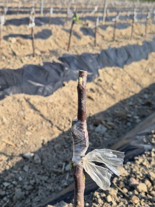 우리농원님의 자유주제 · 자유게시판 작성글 사진