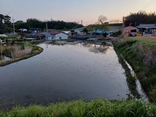 전영일님의 자유주제 · 자유게시판 작성글 사진